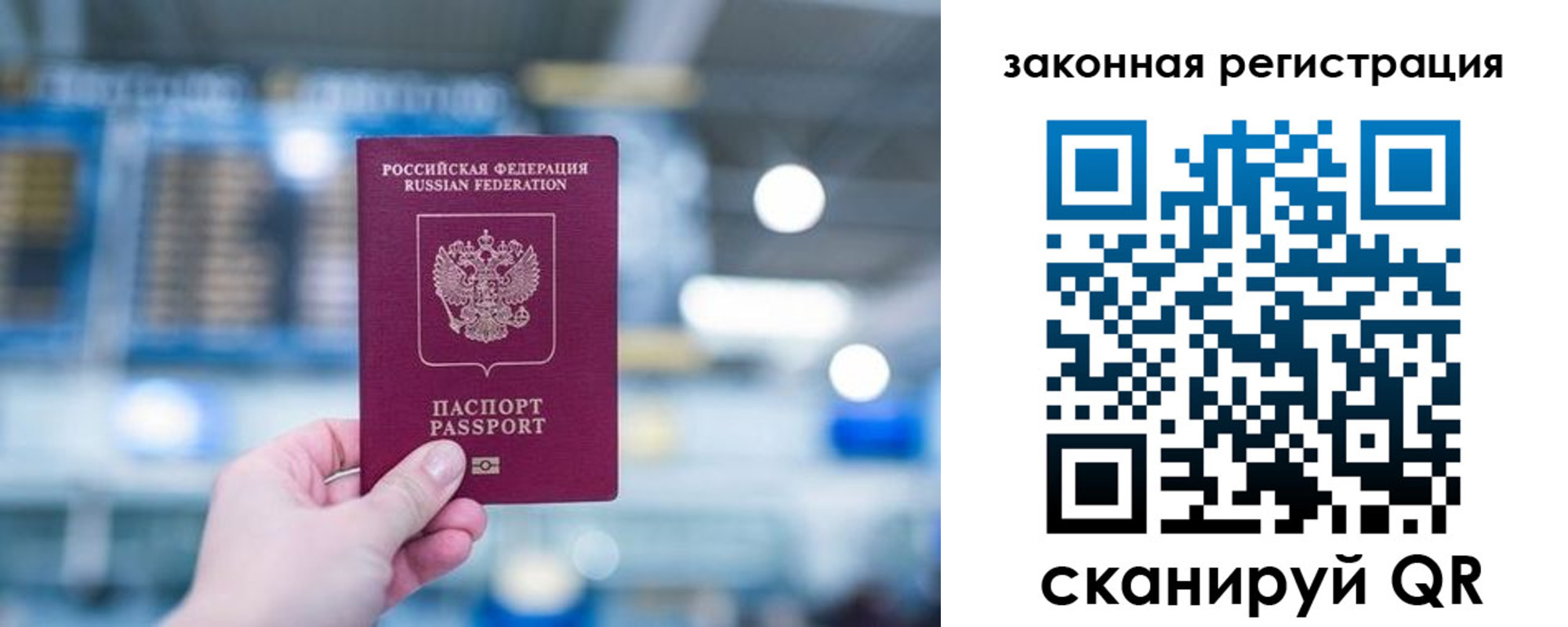 прописка поиск в Курской области