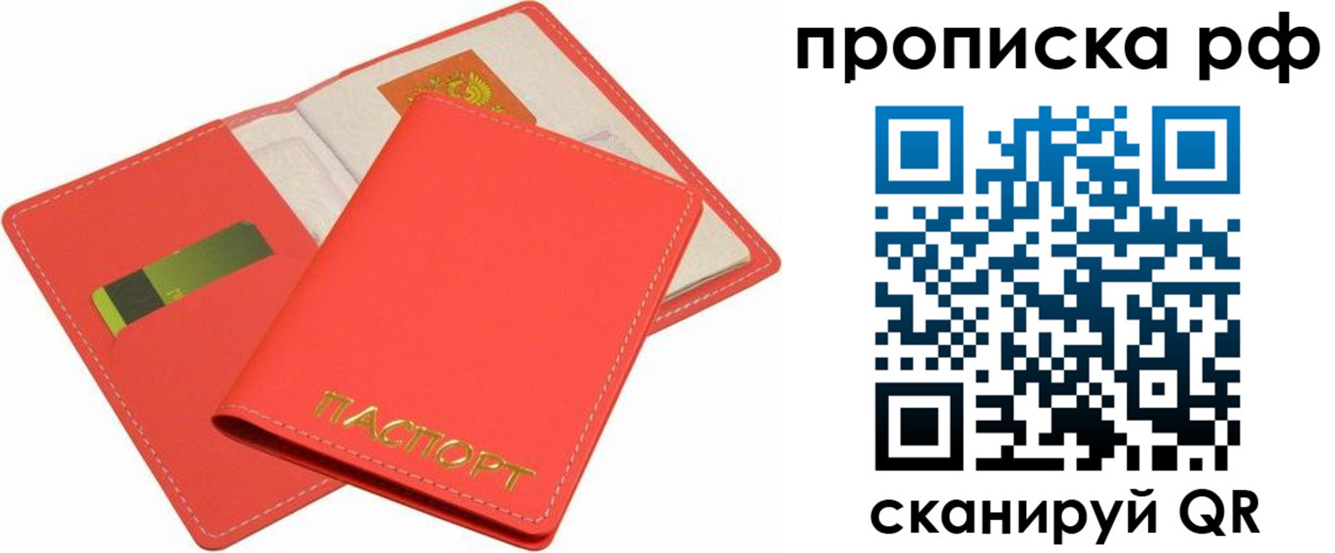 временная регистрация надежно в Курской области